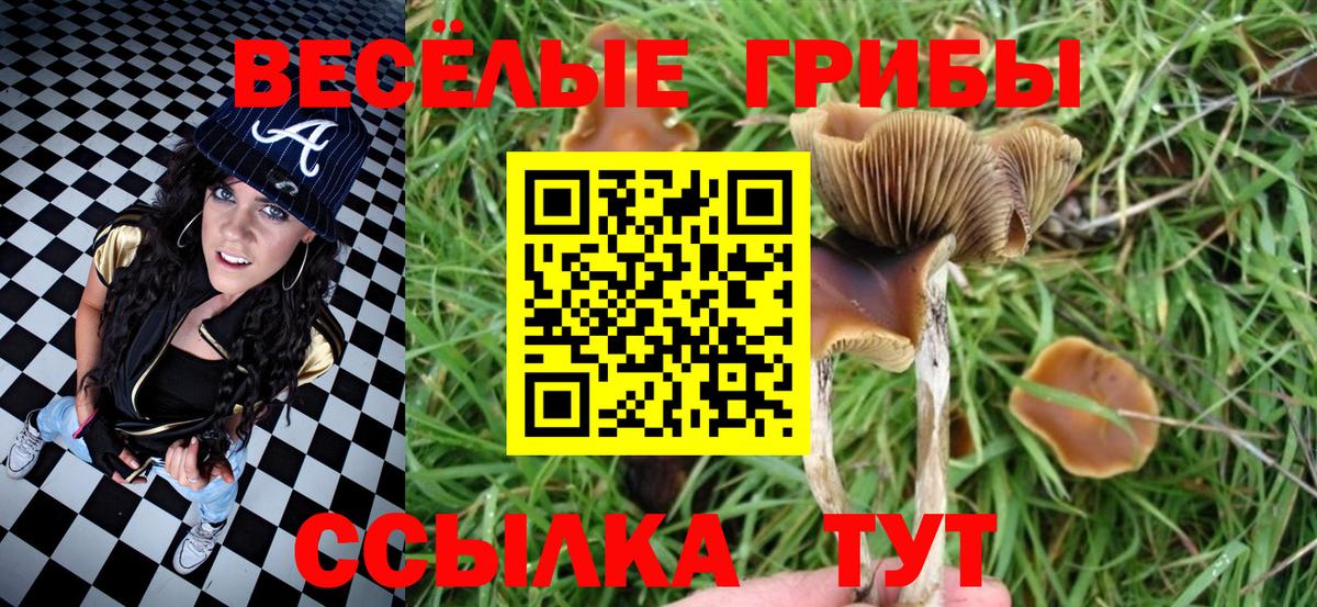 Тосно  Галлюциногенные грибы ЛСД  Вход с VPN 