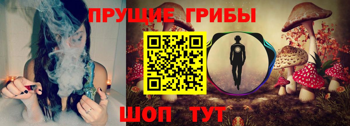 Псилоцибиновые грибы Psilocybe Тосно